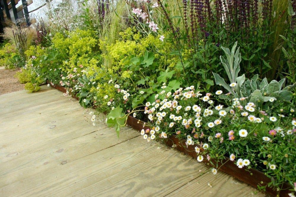 Maja w ogrodzie - Obrzeża trawnikowe